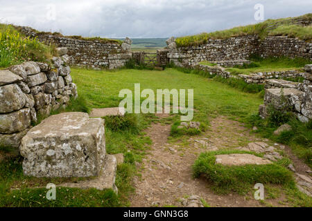Northumberland, Inghilterra, Regno Unito. Ingresso a Milecastle 37 con resti di Arco sul Gateway apertura al nord. Foto Stock