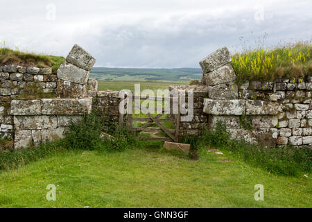 Northumberland, Inghilterra, Regno Unito. Milecastle 37 con resti di Arco sul Gateway apertura al nord. Foto Stock