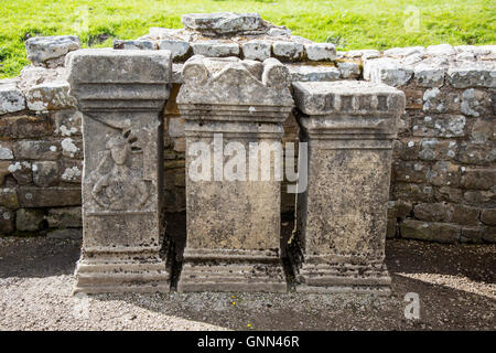 Northumberland, Inghilterra. Altare repliche Brocolitia Mithraic Temple (Carrawburgh tempio di Mitra). Il Vallo di Adriano di sentiero. Foto Stock