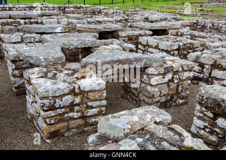 Northumberland, Inghilterra, Regno Unito. Chesters Roman Fort. Pilastri a Commander's House consentono di riscaldare il flusso d'aria sotto il pavimento. Foto Stock