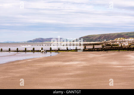 La gente che camminava sul Ynyslas Beach, vicino a Aberystwyth in Ceredigion, Wales UK Foto Stock