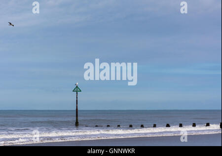 Due gabbiani sulla Ynyslas Beach, vicino a Aberystwyth in Ceredigion, Wales UK Foto Stock