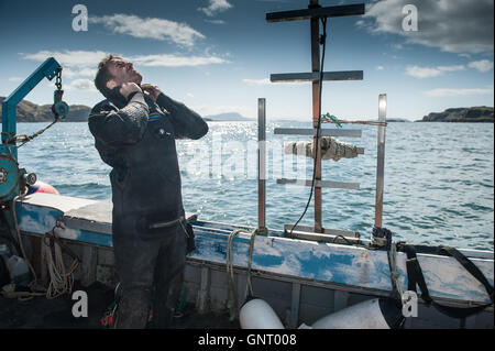 Tobermory, Regno Unito, shell per la pesca con il suo coltello off The Isle of Mull Foto Stock