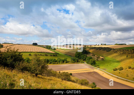 Il mosaico del paesaggio agricolo delle colline, siepi e campi arabili dello Yorkshire wolds in estate. Foto Stock