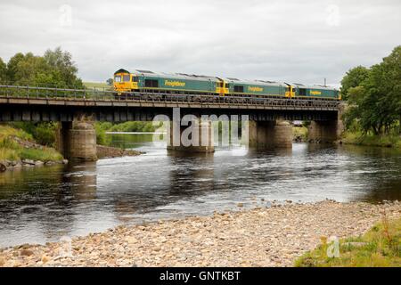 Classe 66 Freightliner treni merci. South Tyne, Ridley Hall ponte ferroviario, Bardon Mill, Newcastle & Carlisle Railway Regno Unito. Foto Stock