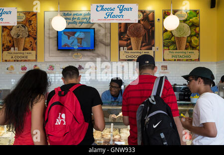 Vista interna di persone la scelta di gusti di gelato in una gelateria (coni di Coneys, New York). Foto Stock