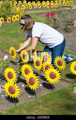 Poole, Dorset, Regno Unito. 1 Sep, 2016. Un toccante display del 1000 realizzati artigianalmente in metallo e plastica girasoli sono piantati nel giardino di rose a Poole Park per rappresentare le 1000 persone locali curati ogni anno dalla foresta Holme ospizio di Poole. Il mare di fiori gialli sarà sul display durante il mese di settembre per il pubblico a visitare e ricordare i loro cari. I fiori sono stati realizzati a mano da parte del Teatro Regio in Plymouth che ha giocato una parte integrante nella Torre di Londra il papavero display. Credito: Carolyn Jenkins/Alamy Live News Foto Stock