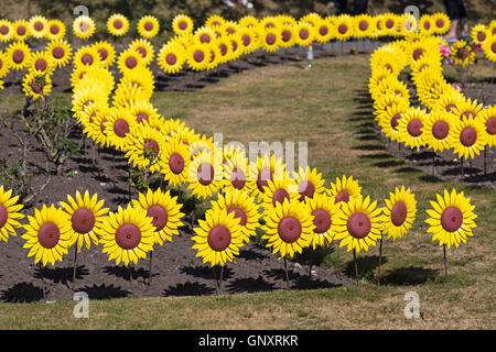 Poole, Dorset, Regno Unito. 1 Sep, 2016. Un toccante display del 1000 realizzati artigianalmente in metallo e plastica girasoli sono piantati nel giardino di rose a Poole Park per rappresentare le 1000 persone locali curati ogni anno dalla foresta Holme ospizio di Poole. Il mare di fiori gialli sarà sul display durante il mese di settembre per il pubblico a visitare e ricordare i loro cari. I fiori sono stati realizzati a mano da parte del Teatro Regio in Plymouth che ha giocato una parte integrante nella Torre di Londra il papavero display. Credito: Carolyn Jenkins/Alamy Live News Foto Stock