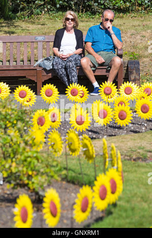 Poole, Dorset, Regno Unito. 1 Sep, 2016. Un toccante display del 1000 realizzati artigianalmente in metallo e plastica girasoli sono piantati nel giardino di rose a Poole Park per rappresentare le 1000 persone locali curati ogni anno dalla foresta Holme ospizio di Poole. Il mare di fiori gialli sarà sul display durante il mese di settembre per il pubblico a visitare e ricordare i loro cari. I fiori sono stati realizzati a mano da parte del Teatro Regio in Plymouth che ha giocato una parte integrante nella Torre di Londra il papavero display. Credito: Carolyn Jenkins/Alamy Live News Foto Stock