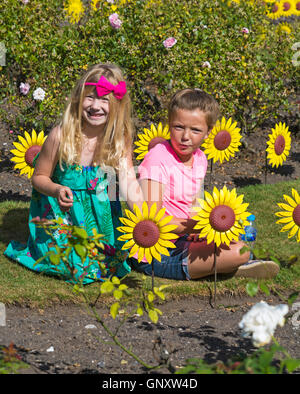 Poole, Dorset, Regno Unito. 1 Sep, 2016. Un toccante display del 1000 realizzati artigianalmente in metallo e plastica girasoli sono piantati nel giardino di rose a Poole Park per rappresentare le 1000 persone locali curati ogni anno dalla foresta Holme ospizio di Poole. Il mare di fiori gialli sarà sul display durante il mese di settembre per il pubblico a visitare e ricordare i loro cari. I fiori sono stati realizzati a mano da parte del Teatro Regio in Plymouth che ha giocato una parte integrante nella Torre di Londra il papavero display. Credito: Carolyn Jenkins/Alamy Live News Foto Stock