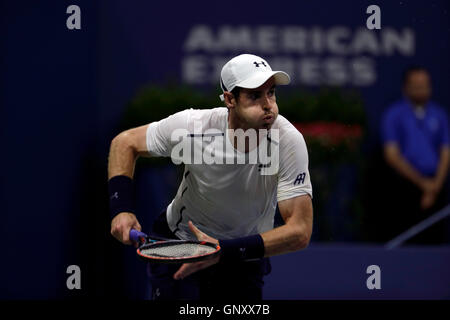 New York, Stati Uniti d'America. 1 Sep, 2016. Andy Murray di Gran Bretagna durante il suo secondo round match contro Marcel Granollers di Spagna presso gli Stati Uniti Open Tennis campionati a Flushing Meadows, New York il Giovedì, Settembre 1st. Credito: Adam Stoltman/Alamy Live News Foto Stock