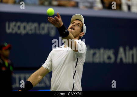 New York, Stati Uniti d'America. 1 Sep, 2016. Andy Murray di Gran Bretagna svolge sotto il tetto chiuso all'Arthur Ashe Stadium durante il suo secondo round match contro Marcel Granollers di Spagna presso gli Stati Uniti Open Tennis campionati a Flushing Meadows, New York il Giovedì, Settembre 1st. Credito: Adam Stoltman/Alamy Live News Foto Stock