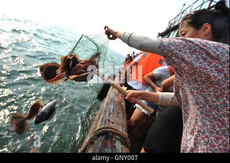 Qingdao, Qingdao, Cina. 2 Sep, 2016. Qingdao, Cina - 1 Settembre 2016: (solo uso editoriale. Cina OUT) Cittadini comprare un sacco di animali acquatici tra cui pesce e li libera a Jiaozhou Bay a Qingdao, Cina orientale¡Â¯s Provincia di Shandong. In netto contrasto, pescatori pesca di inizio il 1 settembre 2016, che è il primo giorno di pesca dopo i tre mesi di estate moratoria della pesca. Il fenomeno di liberare i pesci e pesca suscita una accesa discussione in Qingdao. © SIPA Asia/ZUMA filo/Alamy Live News Foto Stock