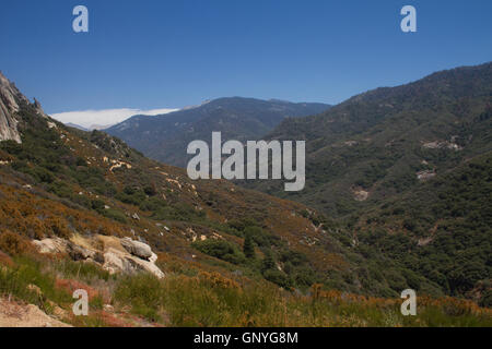 Re minerali Valley, parte del Parco Nazionale di Sequoia. In California. Stati Uniti d'America Foto Stock