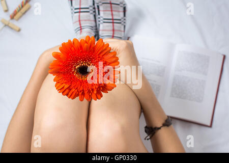 Donna che mantiene un fiore di gerbera in letto punto di vista Foto Stock