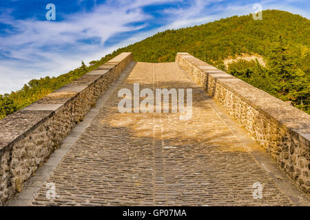 Rampa inclinata del XVI secolo humpbacked bridge in Emilia Romagna, Italia Foto Stock