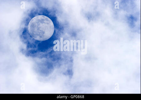 Luna nuvole è una panoramica diurna di bianco wispy cumulus nubi insieme contro un profondo cielo blu come la luna piena sorge nel cielo. Foto Stock