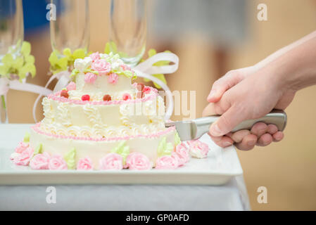 In prossimità di una sposa il taglio di torta di nozze. Profondità di campo. Foto Stock