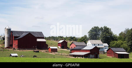 Fattoria Amish con silo e molti edifici rosso nella contea di Holmes Ohio Foto Stock