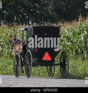 Cavallo Amish e buggy sulla strada di campagna in Ohio Foto Stock