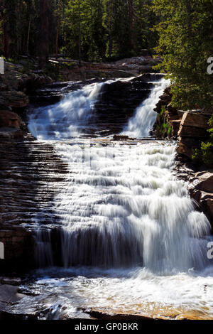 Provo River Falls si affacciano, Mirror Lake Scenic Byway, Uinta-Wasatch-Cache National Forest Utah Foto Stock