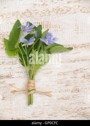 Blu viola bouquet di fiori legati con corda di iuta sul rustico dipinte di bianco sullo sfondo Foto Stock