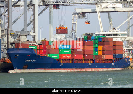 Contenitore nave Conmar Bay ormeggiato a un terminale per container nel porto di Rotterdam. Foto Stock