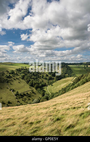 Alta vista guardando verso il basso la colomba Valley vicino a Milldale nel parco nazionale di Peak District. Foto Stock