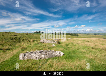 Arbor bassa, un Neolitico antico monumento henge nel parco nazionale di Peak District, Derbyshire, in Inghilterra. Foto Stock