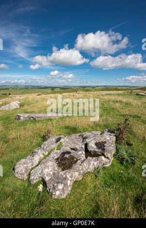 Arbor bassa, un Neolitico antico monumento henge nel parco nazionale di Peak District, Derbyshire, in Inghilterra. Foto Stock