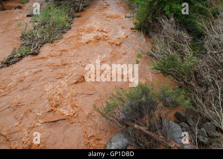 Fiume floody con rosso fortemente alluvionali che scorre a Dak Lak, Vietnam Foto Stock