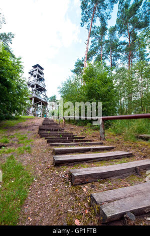Torre di vedetta di legno nella foresta Foto Stock