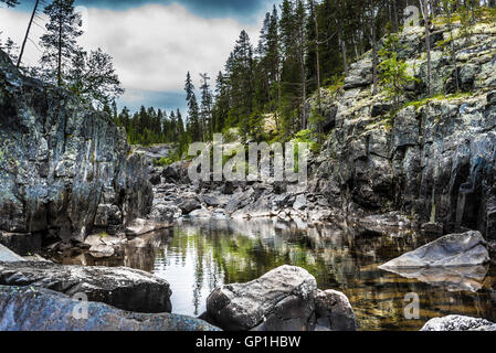 Nel fiume il norvegese forrest Foto Stock