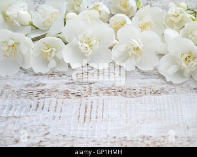 White english sanguinello fiori sulla ruvida rustico sfondo dipinto Foto Stock
