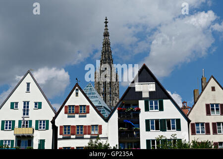 Architettura di alloggiamento con la Cattedrale di Ulm, Ulm, Baden-Wuerttemberg, Germania, Europa Foto Stock