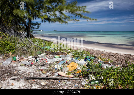 Rifiuti di plastica lavati fino a riva, Turneffe Atoll, dei Caraibi, del Belize Foto Stock