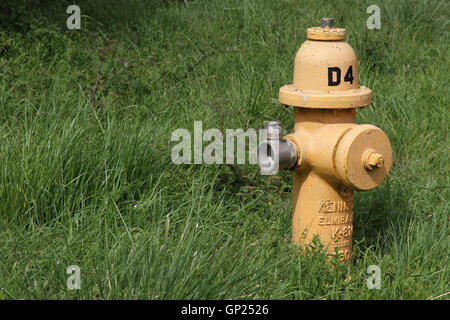 Giallo kennedy k-81 canna secco idrante di fuoco situato in un'erba orlo su un vecchio usaf / raf airfield in Cotswolds, Inghilterra, GB Foto Stock