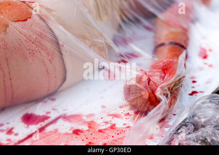 I vegani e vegetariani di attivisti per i diritti degli animali stessi coperto di sangue e avvolto stessi nel confezionamento di carne che protestavano a Foto Stock