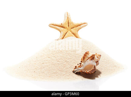 Starfish e conchiglia di mare sulla pila di spiaggia di sabbia isolata su sfondo bianco Foto Stock