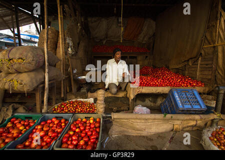 Un pomodoro all'ingrosso selller nel mercato devaraja, Mysore,Karnataka Foto Stock