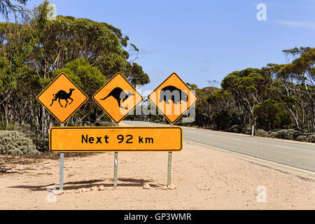 Luogo remoto su Eyre Highway in Sud Australia su un soleggiato caldo giorno d'estate. Le informazioni di avvertimento segno sulla strada informa Foto Stock