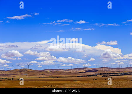 Infiniti campi agricoli in Sud Australia con una catena di lontani turbine eoliche in cima ad una collina la generazione di energia rinnovabile come Foto Stock