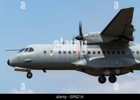 Spanish Air Force ('(Ejército del Aire) CASA C-295M velivoli da carico militari Foto Stock