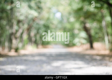 Effetto sfocata foto di una strada di ghiaia avvolgimento attraverso il bosco in una giornata di sole Foto Stock