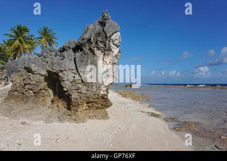 Roccia erosa formazione sulla spiaggia tropicale, atollo di Tikehau, Arcipelago Tuamotu, Polinesia francese, oceano pacifico del sud Foto Stock