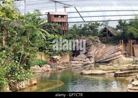 Fiume Rimbula all'interno dell'immenso Jungola serre tropicali a Wildlands Adventure lo zoo Emmen, Paesi Bassi. Foto Stock