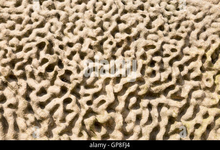 Gravemente eroso lapide in pietra arenaria Foto Stock