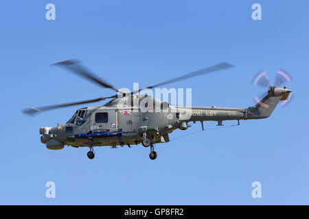 Royal Navy Westland WG-13 elicottero Lynx Foto Stock