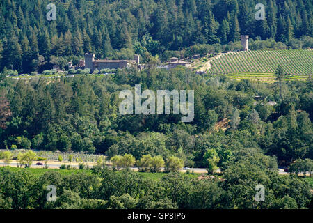 Scenario vista della Valle di Napa con vigneti e Castello di Amorosa azienda vinicola in background.Calistoga,Napa Valley, California , Stati Uniti Foto Stock