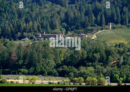 Scenario vista della Valle di Napa con vigneti e Castello di Amorosa azienda vinicola in background.Calistoga,Napa Valley, California , Stati Uniti Foto Stock